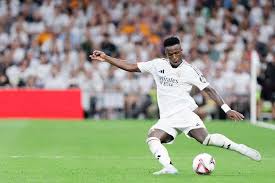 澳超半场：拉赫马尼破门，墨尔本城1-0纽卡斯尔喷气机